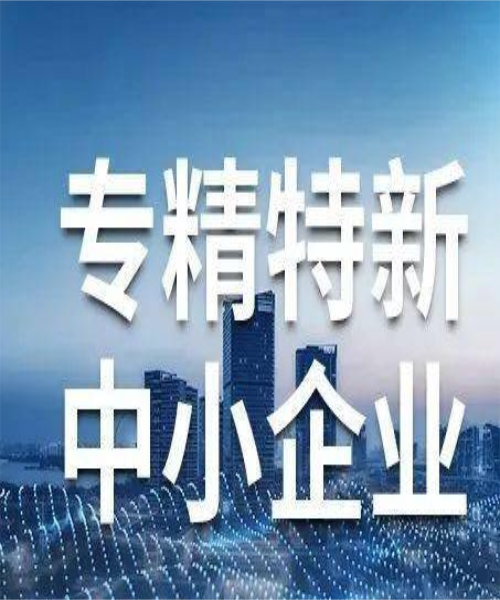 專精特新小巨人申報(bào)全解析！