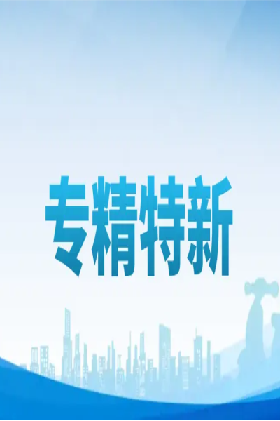 國家專精特新“小巨人”企業(yè)認(rèn)定標(biāo)準(zhǔn)